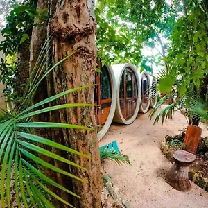 https://tubo-tulum-hostel-77760.quintano-roohotels.com